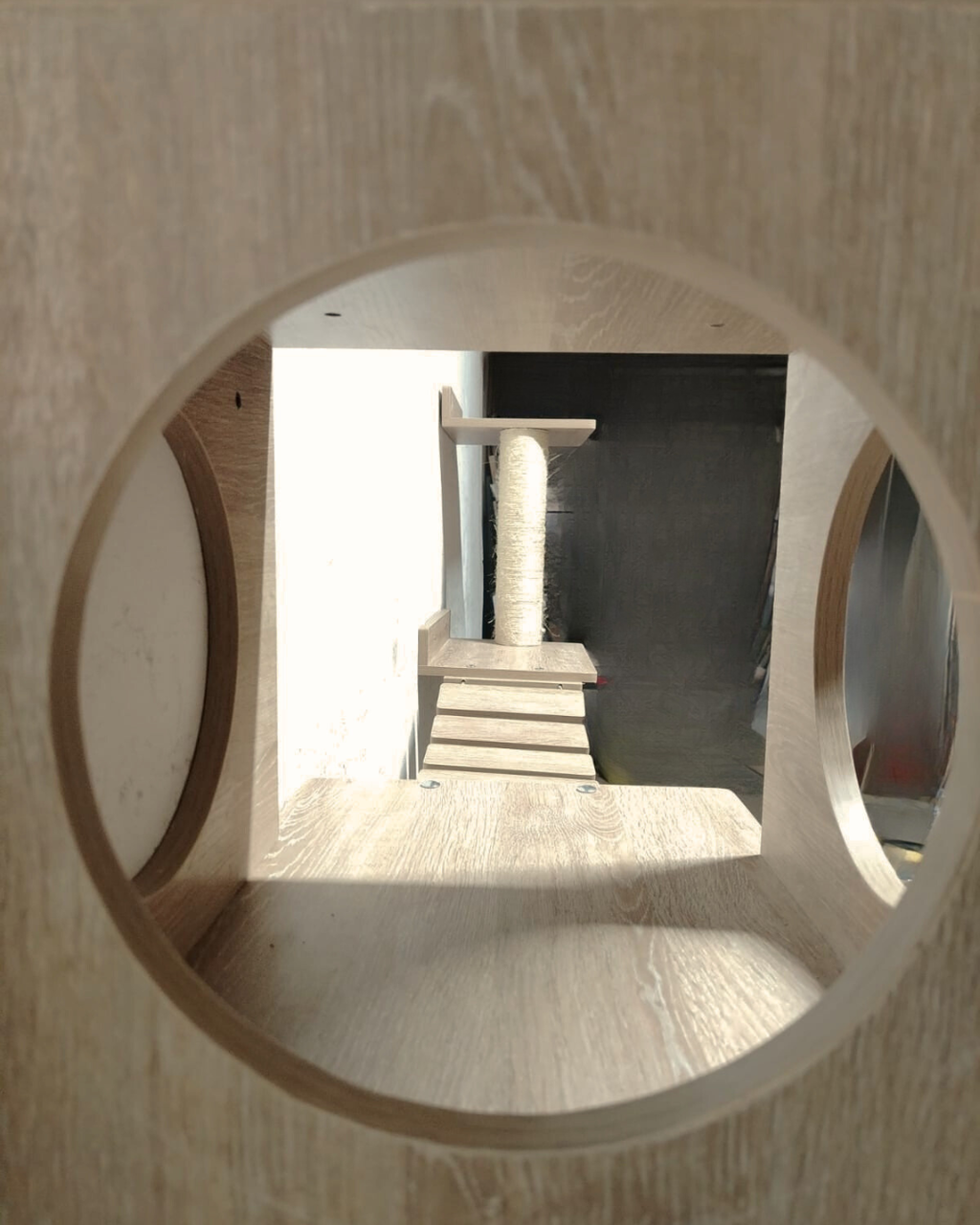 GIMNASIO MURAL PARA GATOS 🏋️🐈