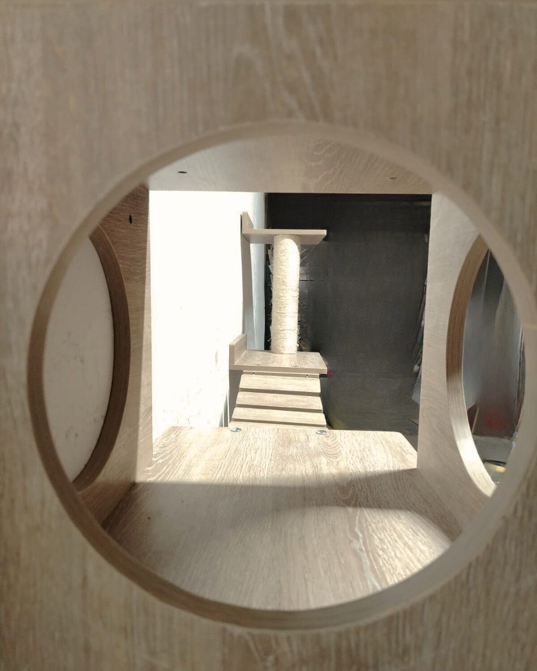 GIMNASIO MURAL PARA GATOS 🏋️🐈