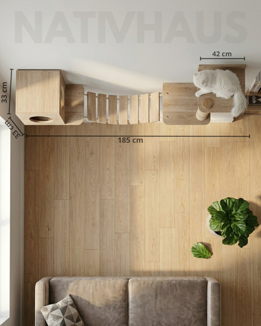 GIMNASIO MURAL PARA GATOS 🏋️🐈