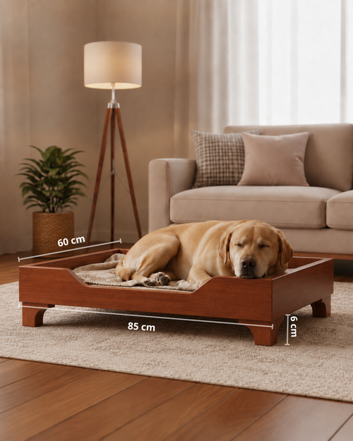 CAMA ELEVADA PARA MACOTAS 🐾